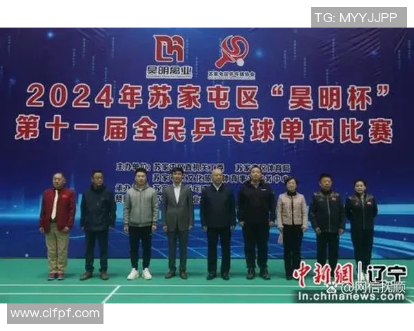 成都乒乓球队反击策略揭秘深度解析乒乓球技艺与战术的完美结合